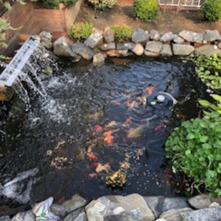 Beautiful Brooklyn Koi-Fish Pond-Garden Residence Нью-Йорк Экстерьер фото