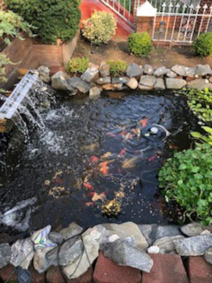 Beautiful Brooklyn Koi-Fish Pond-Garden Residence Нью-Йорк Экстерьер фото